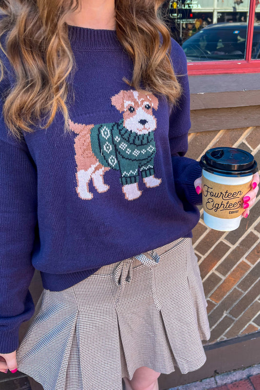 Cozy Companion Sweater - Navy